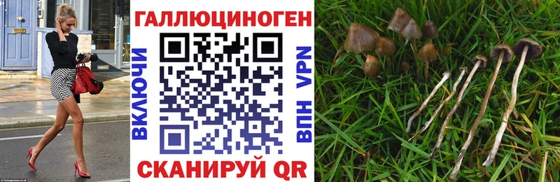 Галлюциногенные грибы мицелий  закладка  Железногорск-Илимский 
